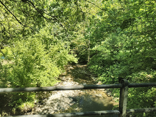 Foreste Casentinesi Vers Toscano - Thumbnail
