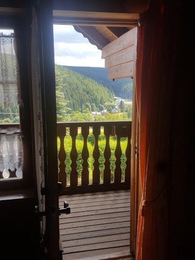 Thüringer Forstrevier Piesau - Visual