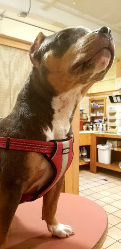 Baldwin & Crosstown Animal Clinic - Thumbnail
