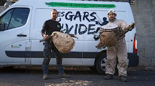 Photo n°10 de Sas Les gars du vide (travaux en hauteur) à Saint-Just-Malmont (Service d'élagage)