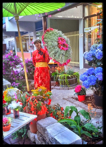 Blumen Götzfried - Thumbnail