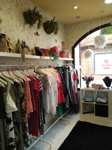 Mashe Moda - Visual
