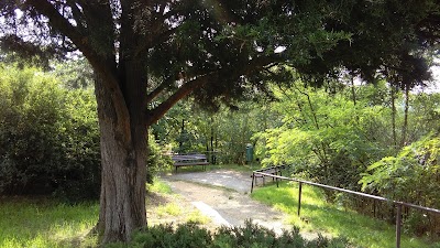 Photos of Russian hill