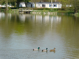 Photo n°13 de Camping La Chesnaie à Saint-Denis-du-Maine (Terrain de camping)