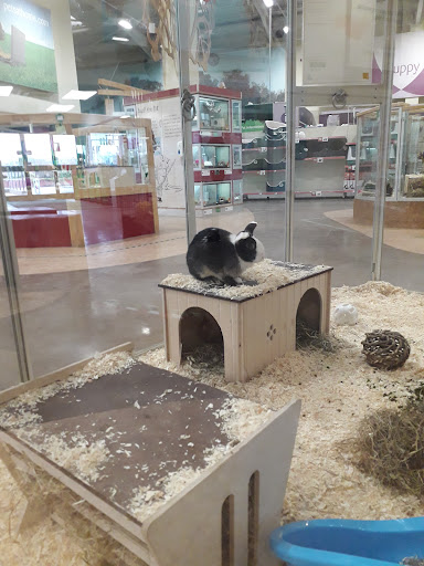 Pets at Home New Malden - Thumbnail