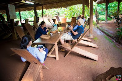 Photos of Mr Vieng Coffee homestay