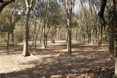 Photos of আমিনুর রেস্ট হাউজ
