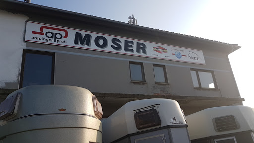 Anhänger Moser - Thumbnail