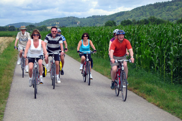 Mercurio Bike Travel