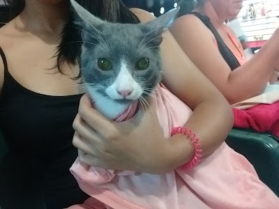 Photos of Veterinary Clinic Santa Marta