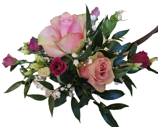 Blumen Gleim - Thumbnail