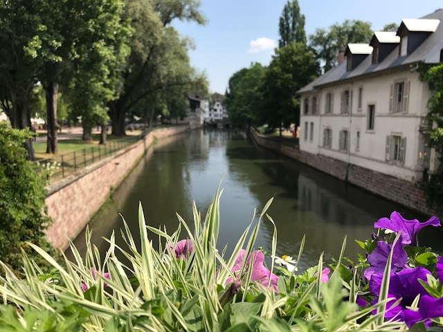 Grande-Île de Strasbourg