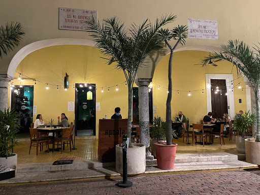 Apoala - Visual