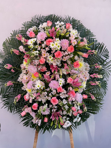 Florería COCO Orquídea - Thumbnail
