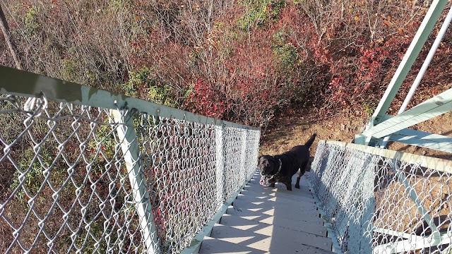 Green Knob Lookout Tower