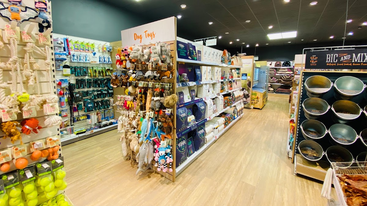 Pets Corner Radstock interior