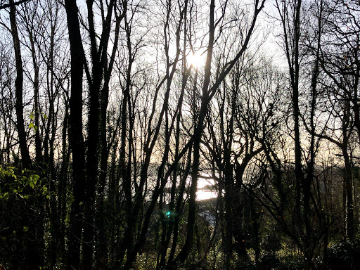 Hoo Common - Visual