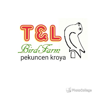 Photos of Thala Bird Farm