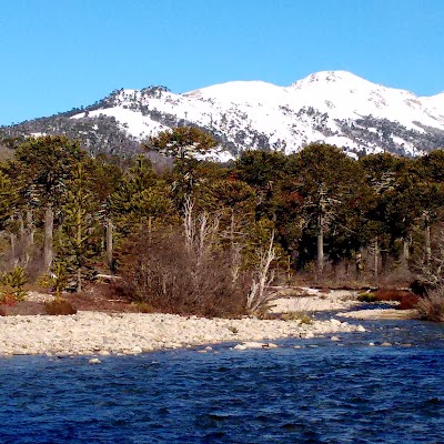 Photos of Pilmayquen Moquehue