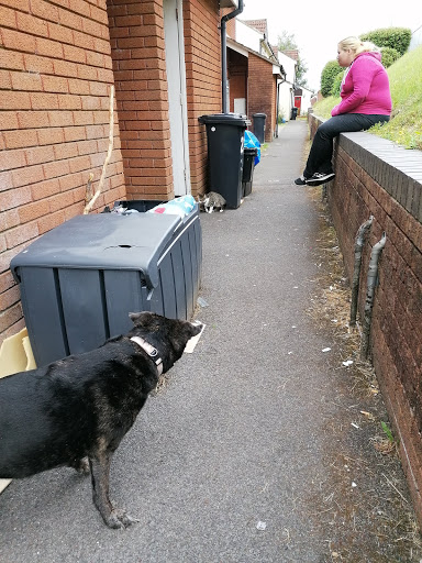 RSPCA Merthyr Tydfil Clinic - Thumbnail