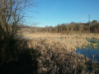 Mossy Creek Wildlife Viewing Area