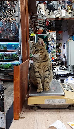 Frakk'91 Bt. - Dunakeszi