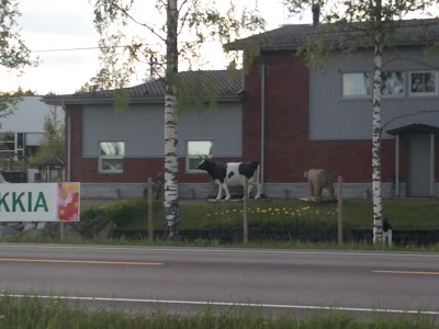 Photos of Kivapiha