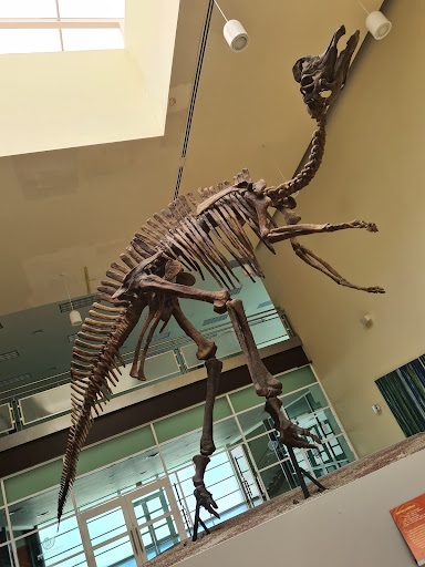 Museo del Desierto Chihuahuense (MUDECH)