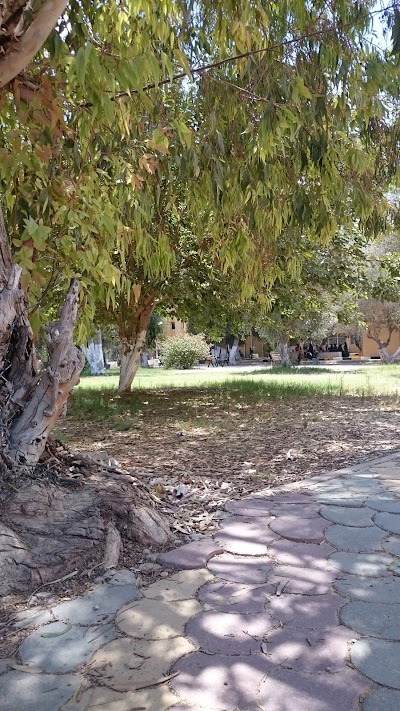 Photos of Faculty of Medicine Zawia