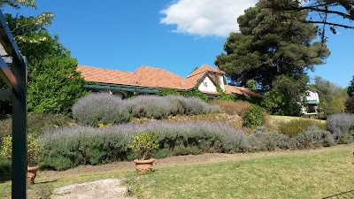 Photos of Posada los Cedros