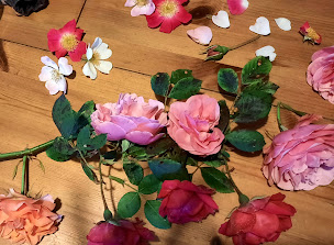 Photo n°6 de Laure Valentin 