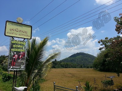 Photos of Bodhinagala Bo Samindu