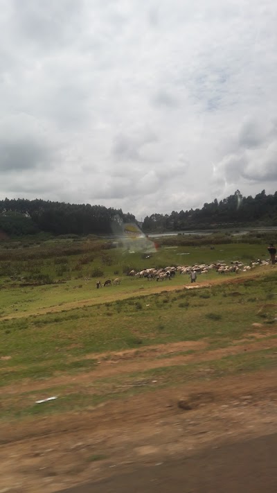 Photos of Manguo Swamp.