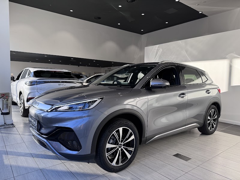 BYD East London Glyn Hopkin photo 3