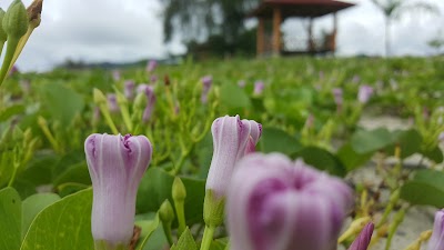 Photos of Pantai Boliohutuo