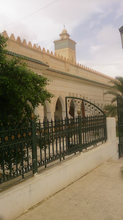 Photos of Sidi Okba