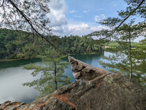 Pine Cliff - Visual