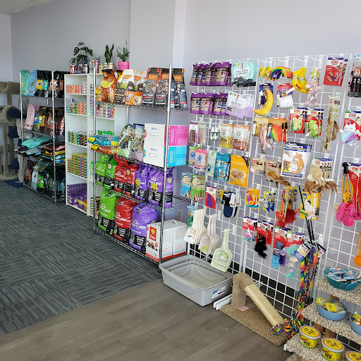 Bark n Meow Gallery - United States
