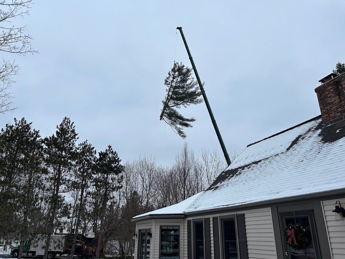 Cicoria Tree and Crane Service