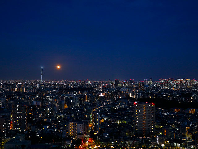 サンシャインシティプリンスホテル