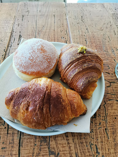 Yeast Panelab - Visual