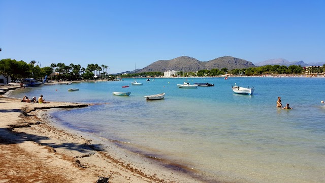 Port d'Alcúdia