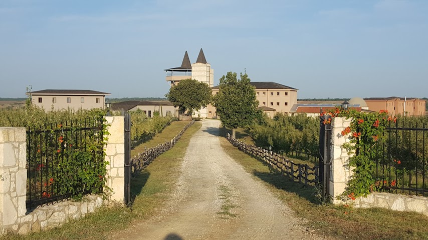 BAKUCHA Vineyard Hotel & SPA by null