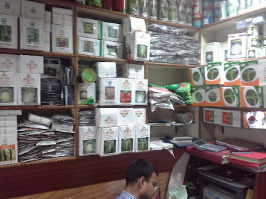 Af1qippyv6huz58bv1apixa3x Mzbnxwugvg3thuatoz=s387 K No