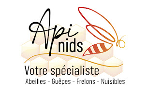 Photo n°8 de Api nids à Samoussy (Service d'extermination des nuisibles)