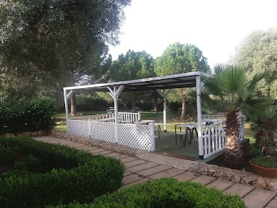 Photos of Hotel Borgo Alto