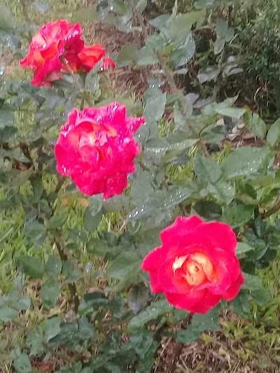 Photos of Parque de Jorco