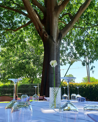 Agriturismo Al Leccio - Thumbnail