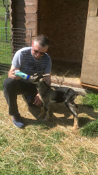 Photo n°1 de les biquettes a papy à Parves et Nattages (Ferme d'élevage)
