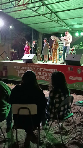 Opiniones de Rotiseria Mackenna en Río Bueno - Supermercado